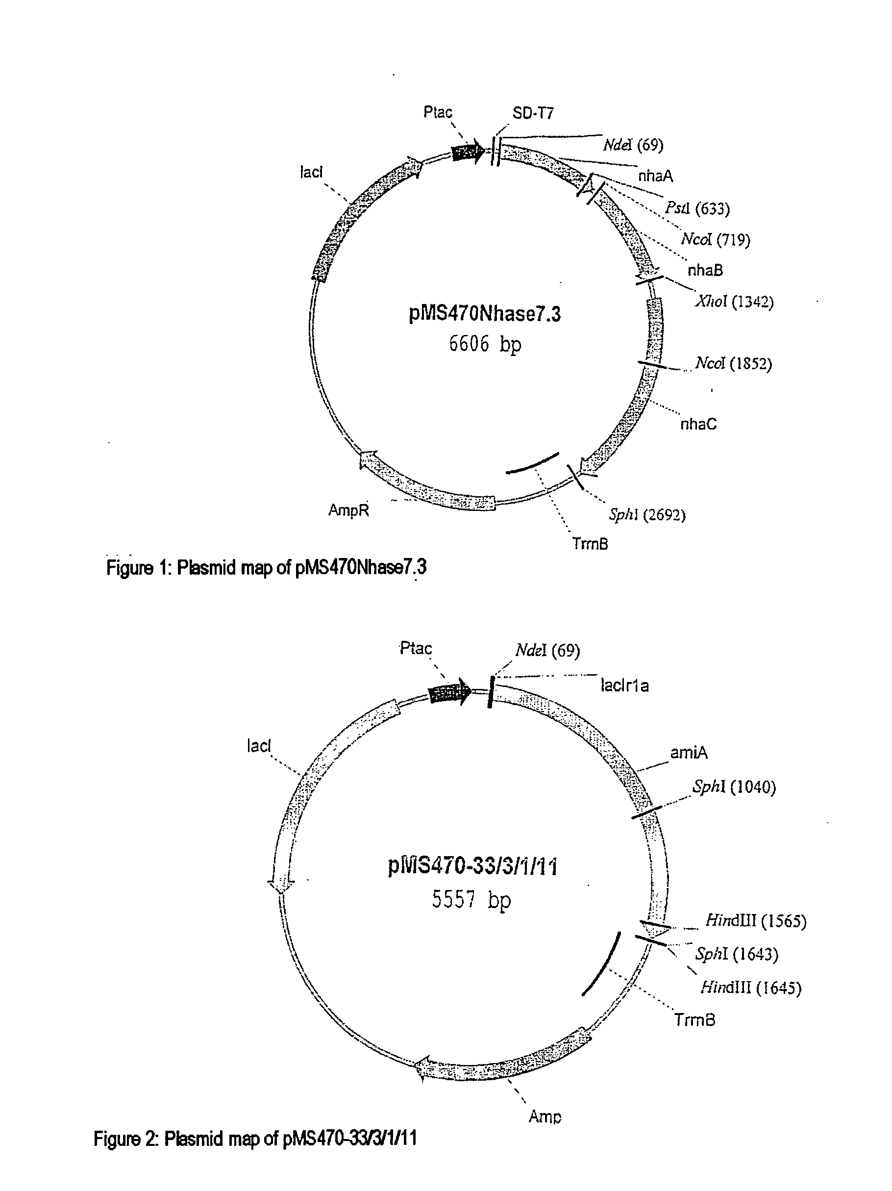 Method for producing chiral alpha-hydroxycarboxylic acids by enzymatic hydrolysis of chiral cyanohydrins