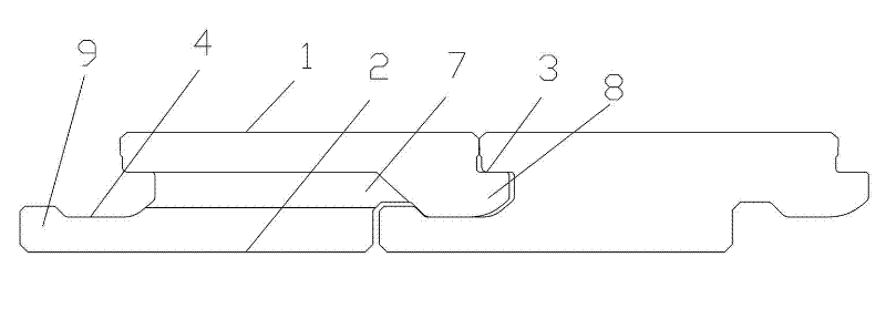 Novel floor and lock catch processing method of floor