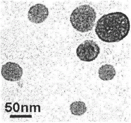 A kind of preparation method of formaldehyde-sensitive nano particle solution