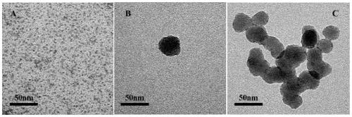A temperature-sensitive western blot sensing microsphere based on quantum dots and its preparation method