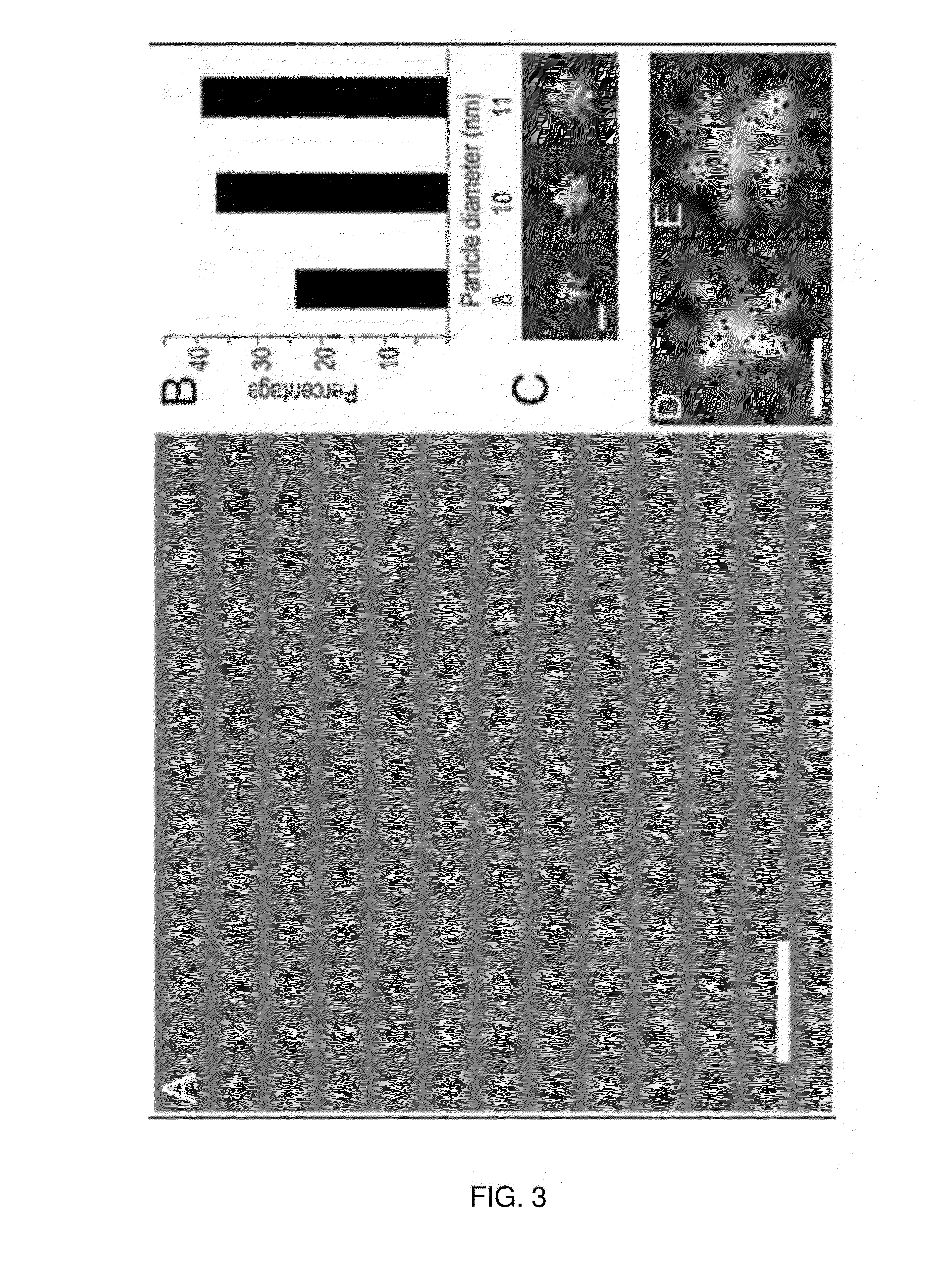 Tetrameric alpha-synuclein and use thereof