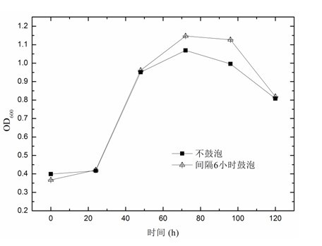 Method for improving hydrogen production by photosynthetic bacteria using bubbling process