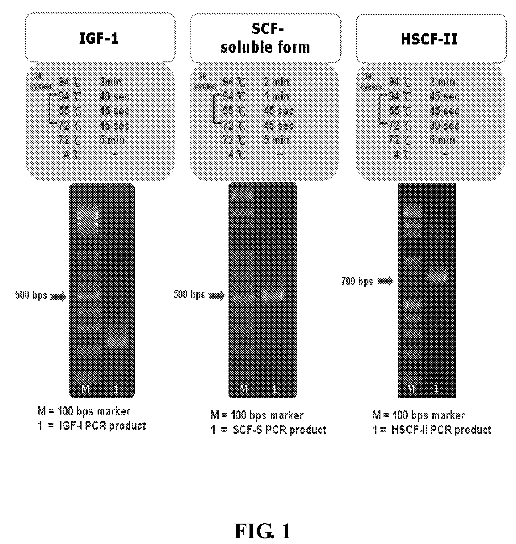 Compositions and methods for dual therapies of hair graying and balding in follicular delivery systems