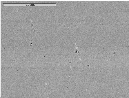 Rare earth-containing austenitic stainless steel for surgical implant