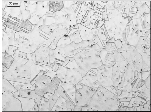 Rare earth-containing austenitic stainless steel for surgical implant