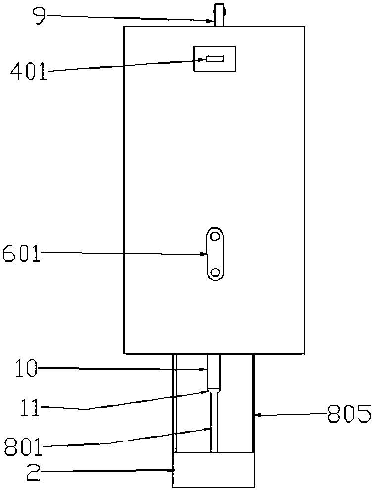 Drinking water device for pigs