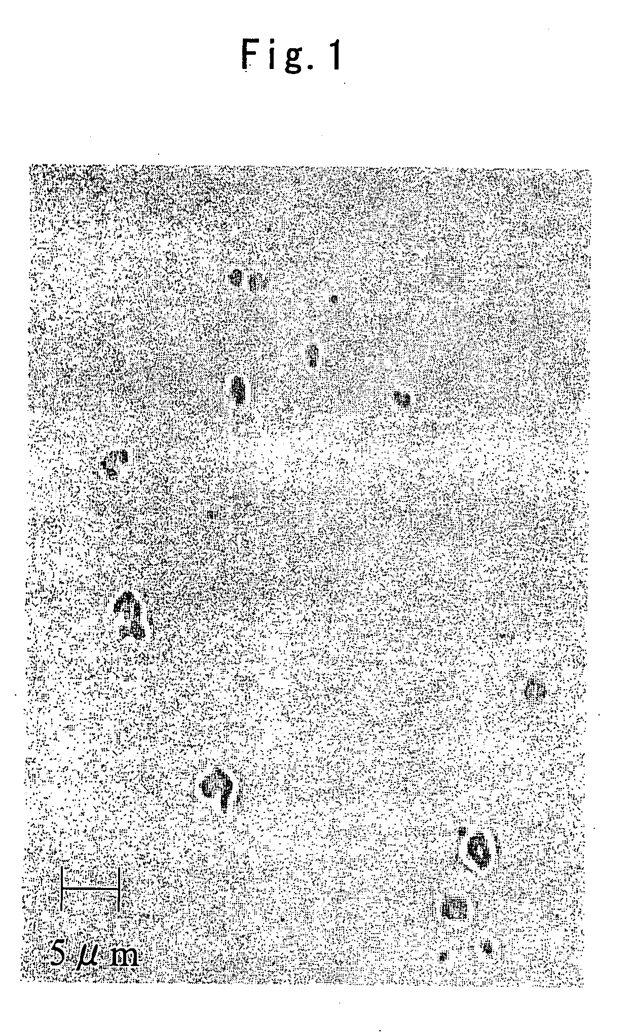 Eyedrops containing particulate agar