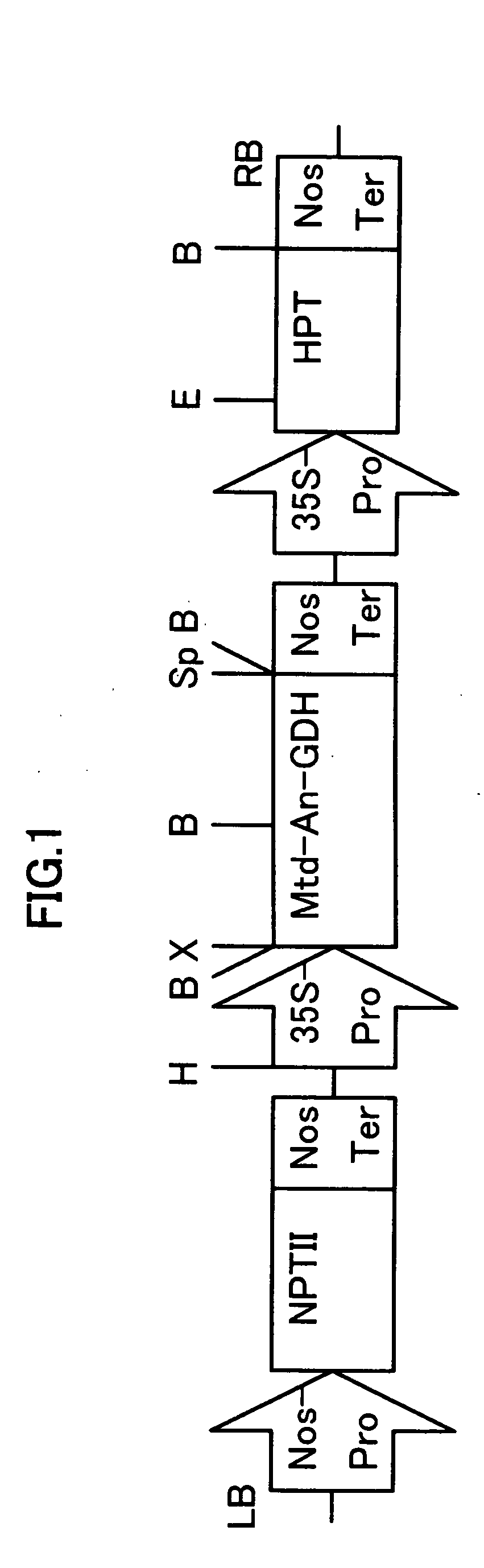 Methods for producing plants with improved growth under nitrogen-limited conditions