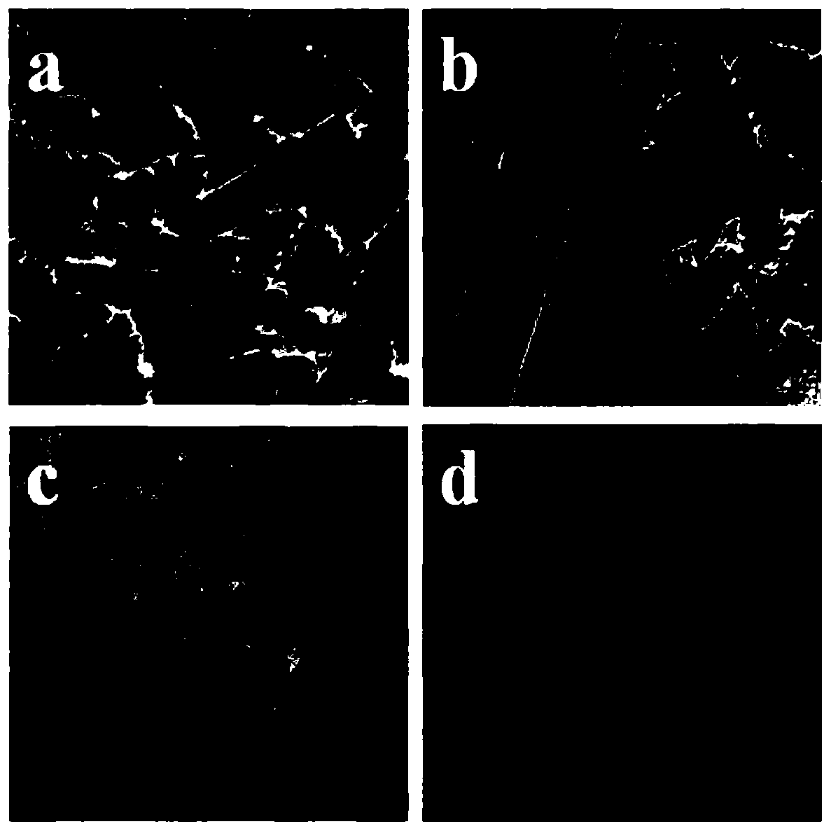 Oxygen group cobalt-based catalyst, preparation method and application of electrocatalytic oxygen evolution