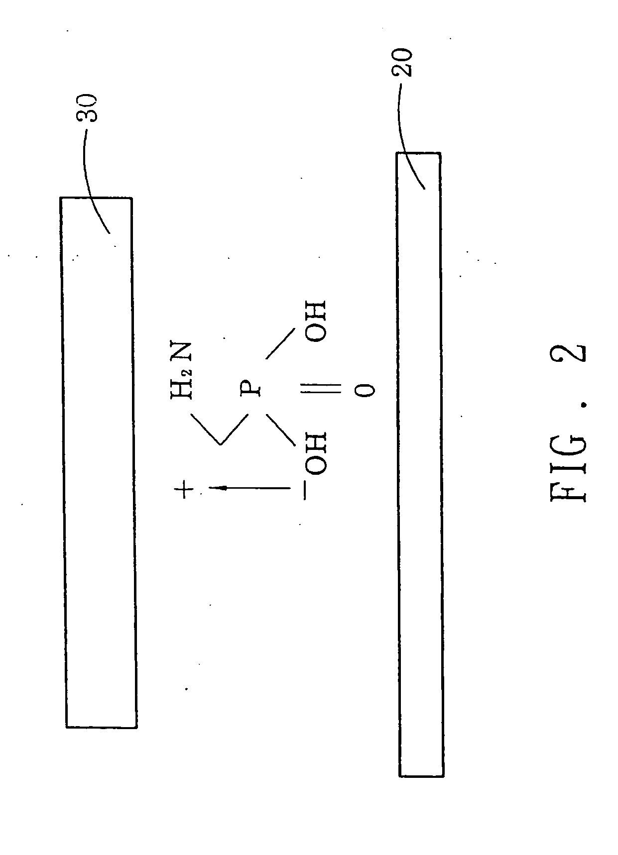 Apparatus and method of employing self-assembled molecules to function as an electron injection layer of OLED