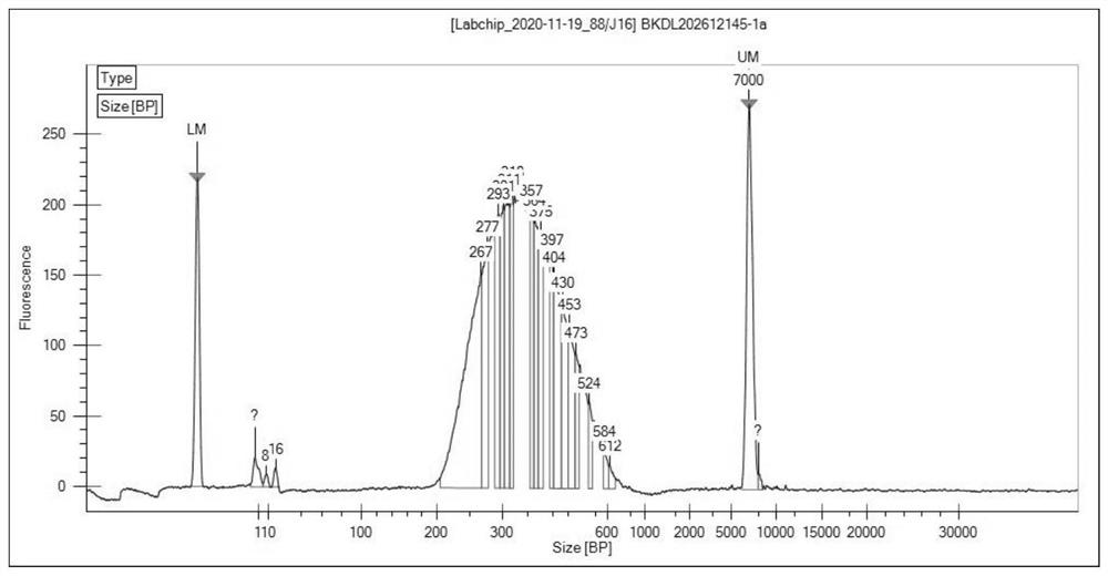 Method for detecting tumor-related polygene mutation by utilizing high-throughput sequencing