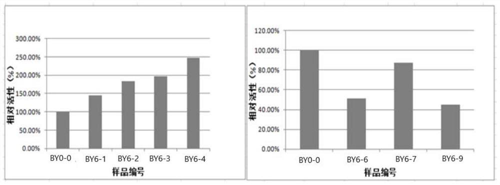 A humanized antibody that binds claudin for the treatment of cancer