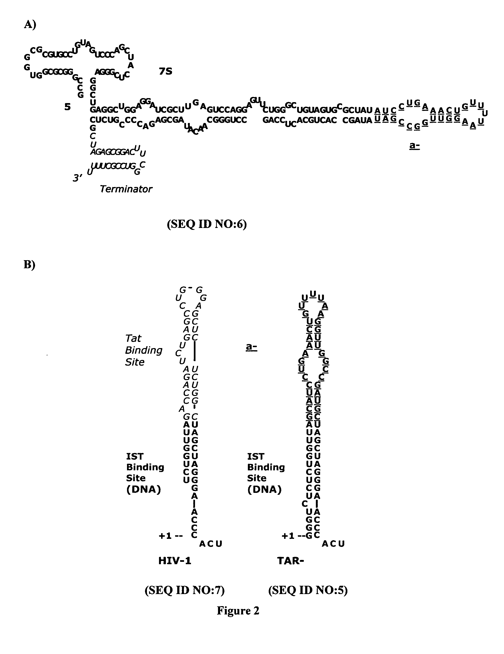Gene knock-down by intracellular expression of aptamers
