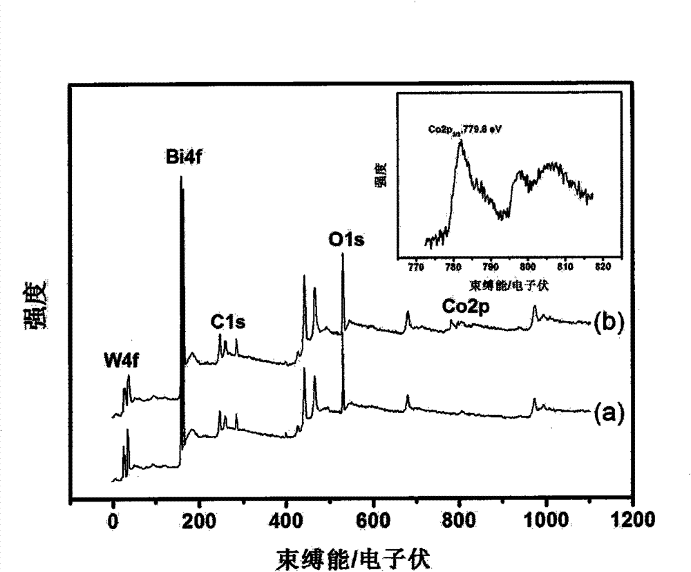 Cobalt-modified bismuth tungstate composite photocatalyst, its preparation method and application thereof