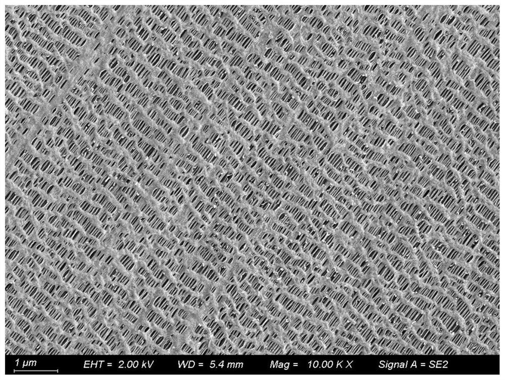 A kind of functional diaphragm and its preparation method and application