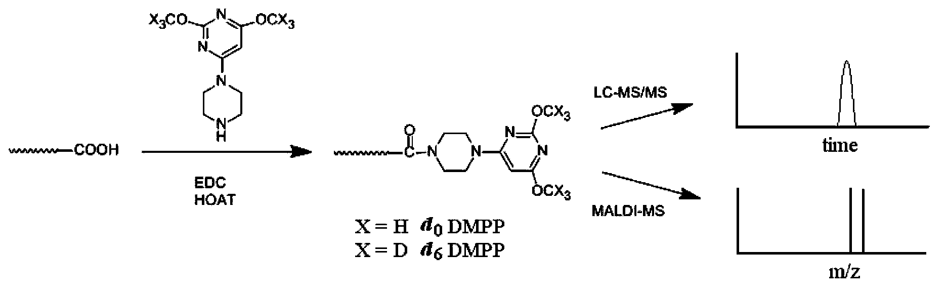 Use of piperazinopyrimidine isotope labeling reagent