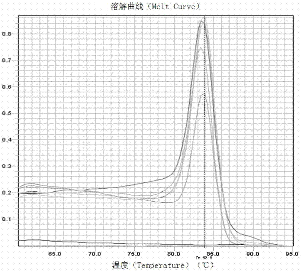 Kit and method for detecting expression level of TUBB3 (Tubulin B3) mRNA (messenger Ribonucleic Acid)