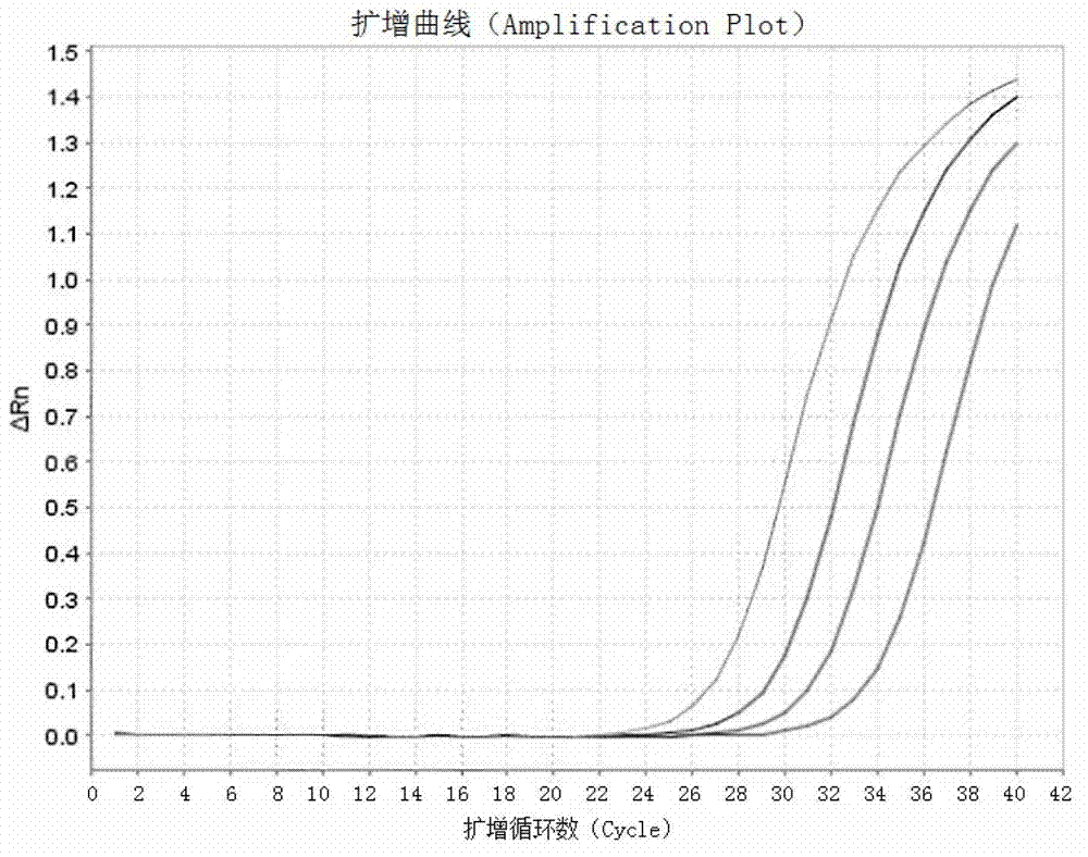 Kit and method for detecting expression level of TUBB3 (Tubulin B3) mRNA (messenger Ribonucleic Acid)