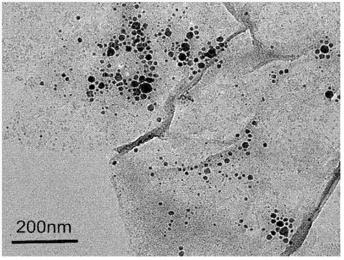 Preparation method of iron-coated graphene nanocomposite material