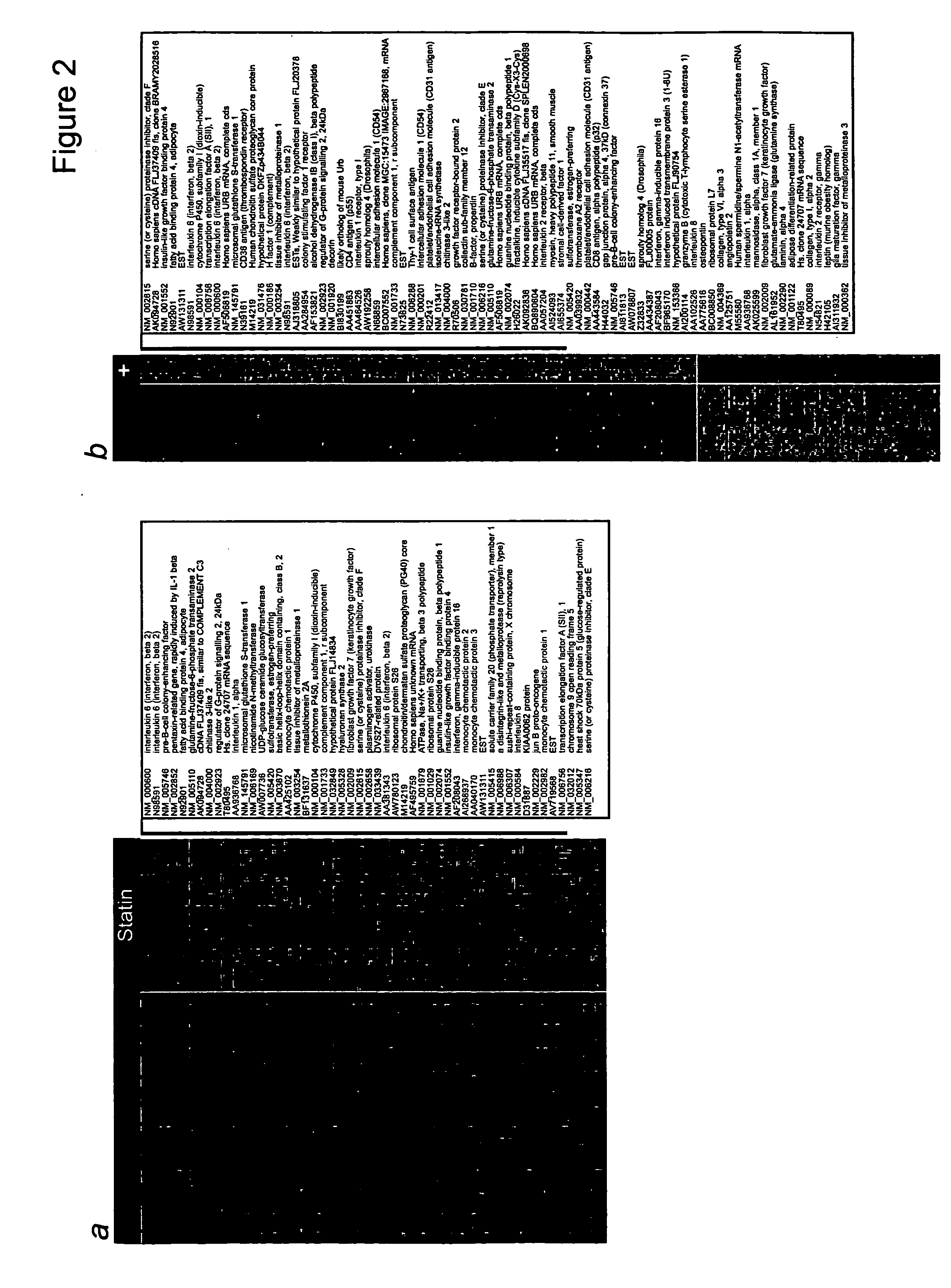 Atherosclerosis genes and related reagents and methods of use thereof