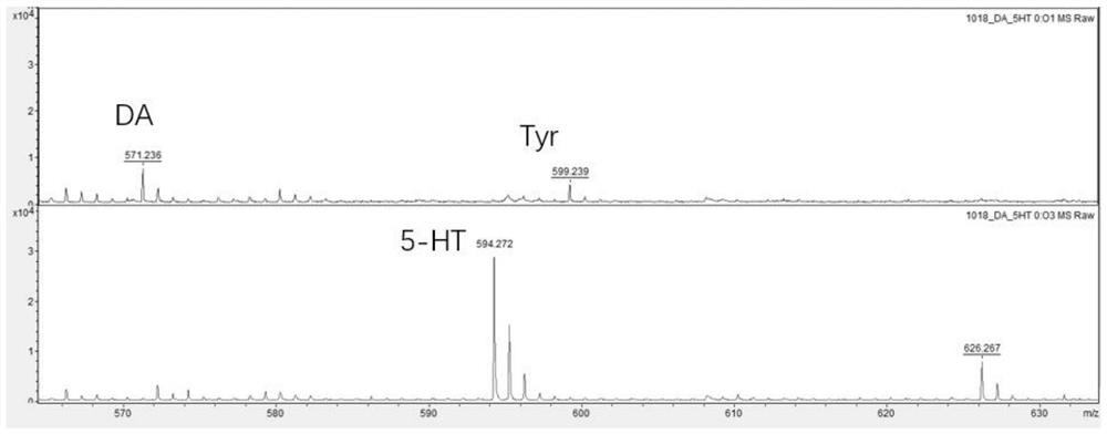 Derivatization reagent, synthesis method thereof and method for in-situ analysis of monoamine neurotransmitters based on MALDI-MS (matrix-assisted laser desorption ionization-mass spectrometry)