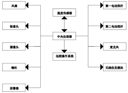 Real-time remote ophthalmoscope inspection device and system