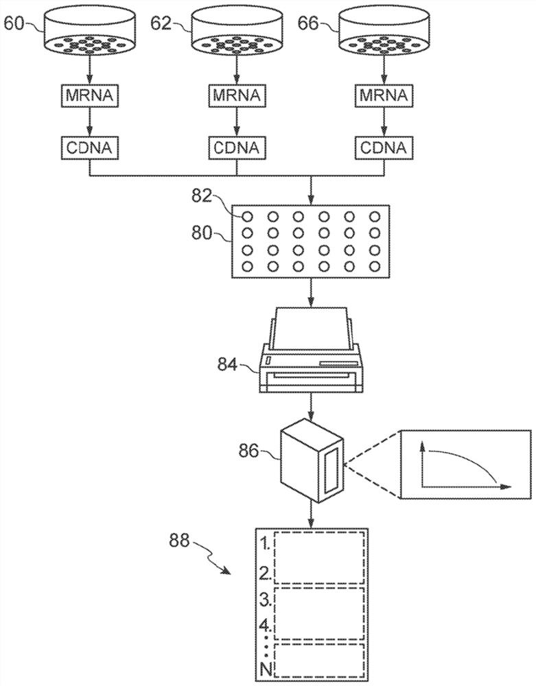 System and method for identifying connections between perturbagens and genes associated with a skin condition