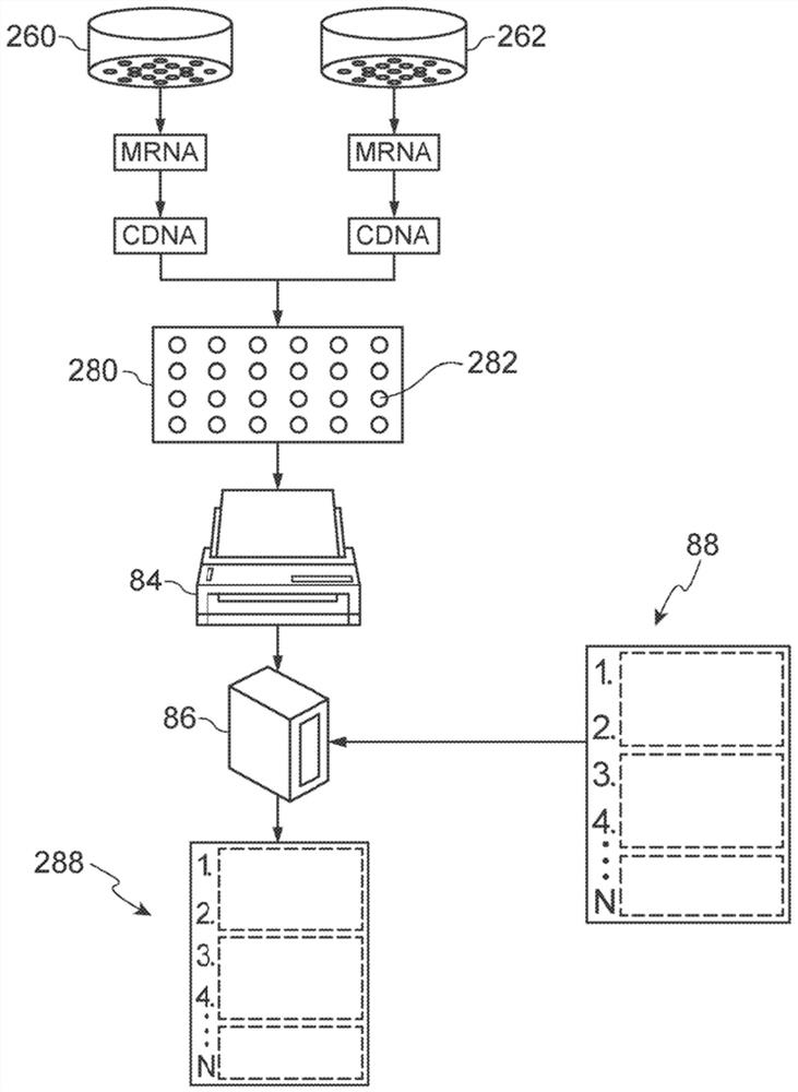 System and method for identifying connections between perturbagens and genes associated with a skin condition