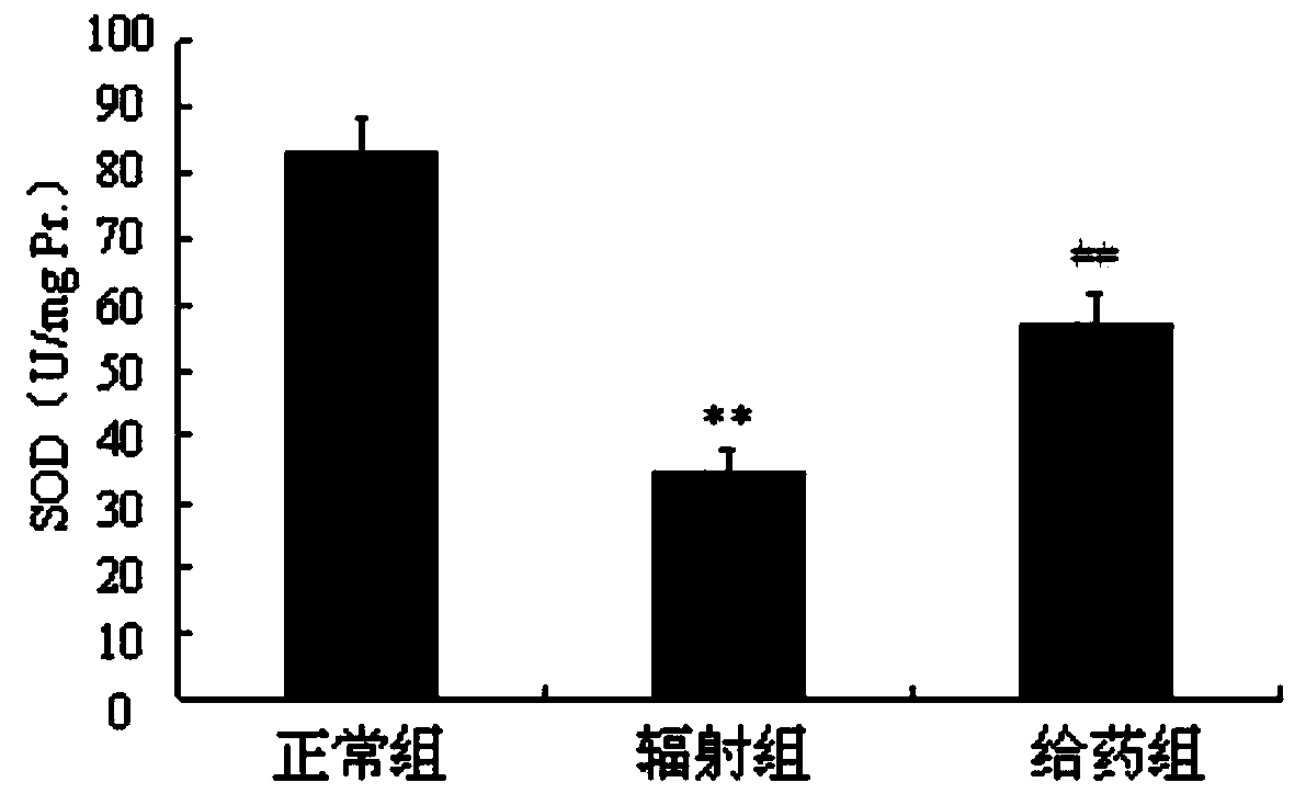 Radiation protection compound as well as synthesis method and application thereof