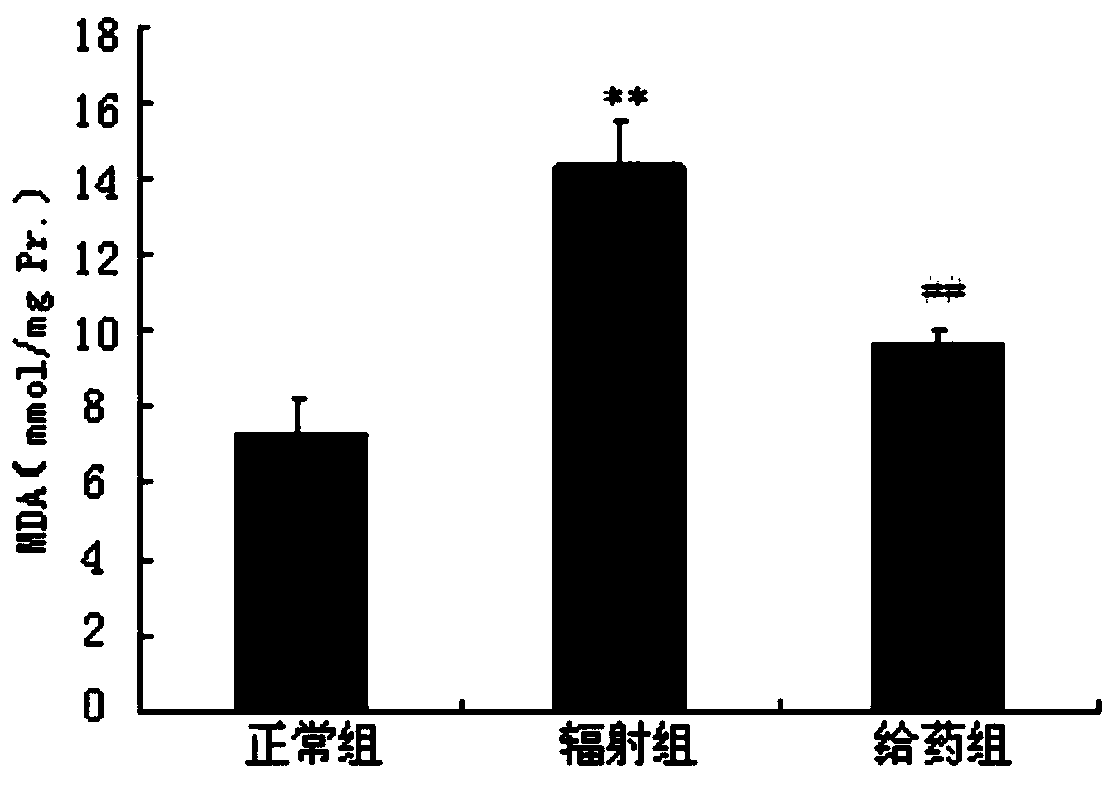 Radiation protection compound as well as synthesis method and application thereof