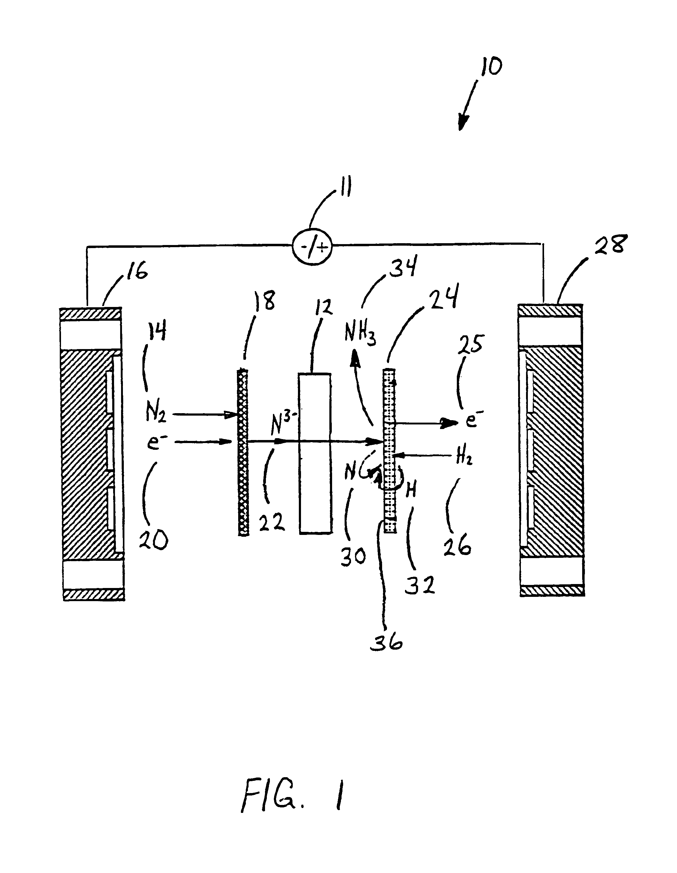 Electrochemical synthesis of ammonia