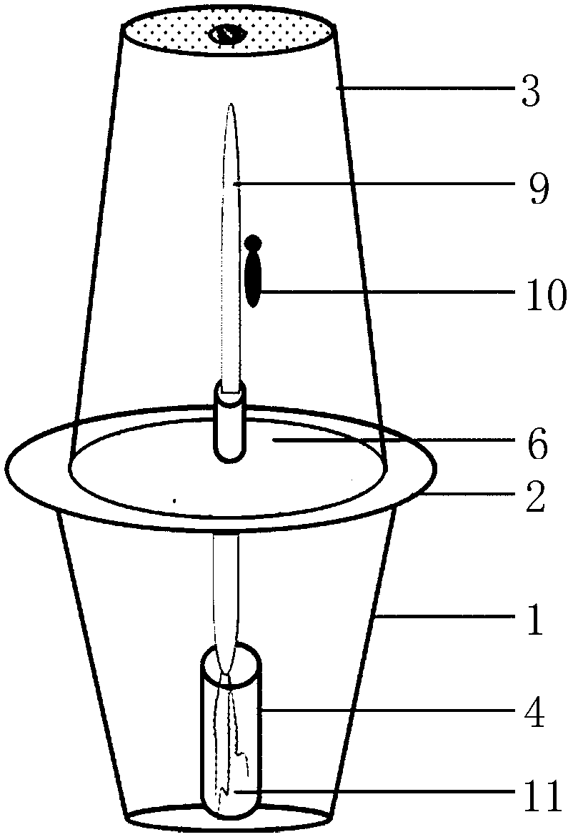 Rice planthopper honey dew amount measuring device and using method thereof