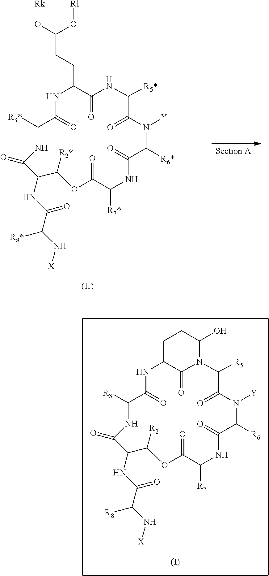 Novel Aldehyde Acetal Based Processes for the Manufacture of Macrocyclic Depsipeptides and New Intermediates