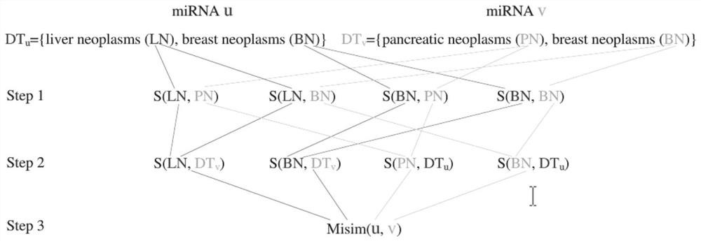 An improved method for predicting miRNA-disease associations based on collaborative filtering