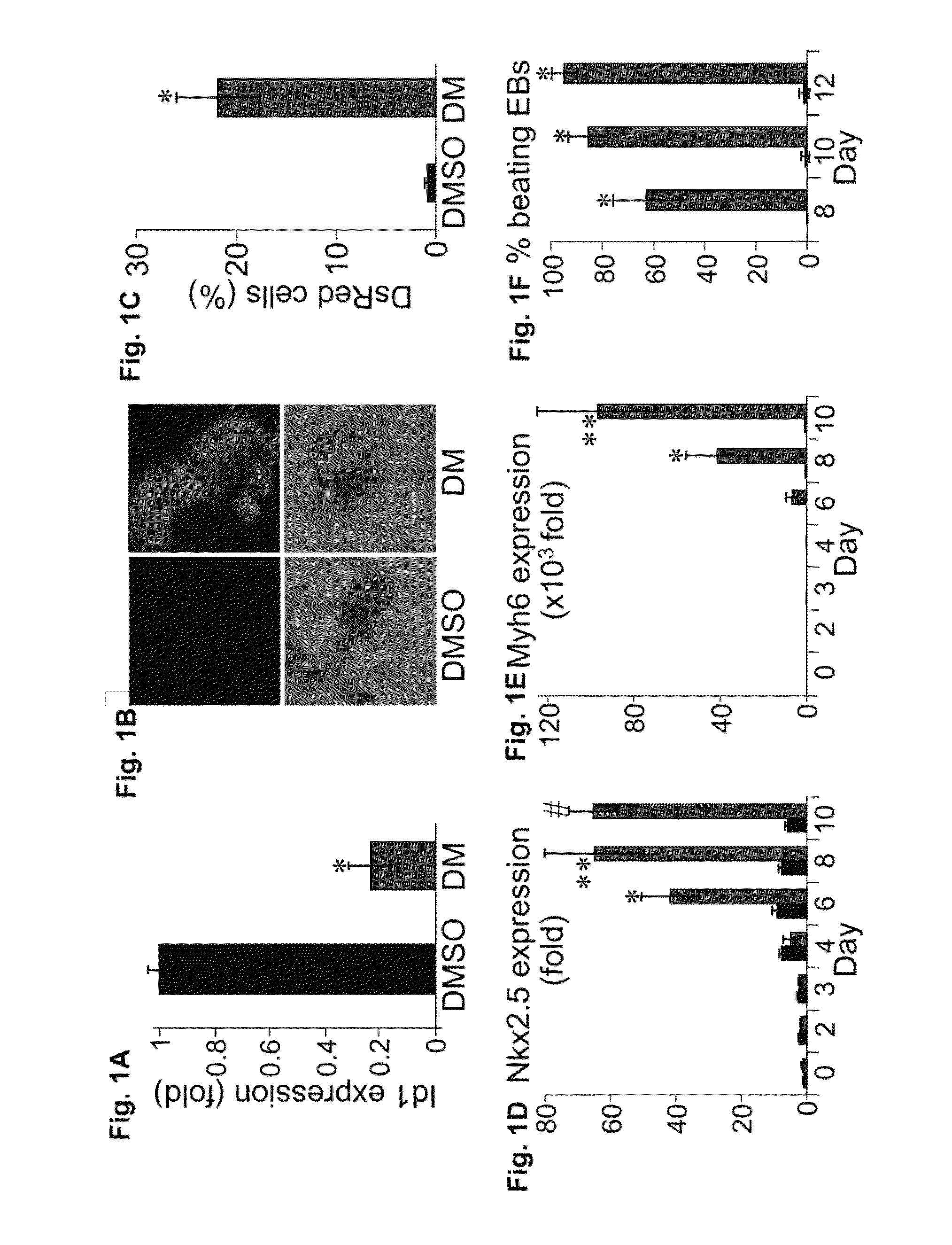 Compounds and methods useful for directing stem cell differentiation