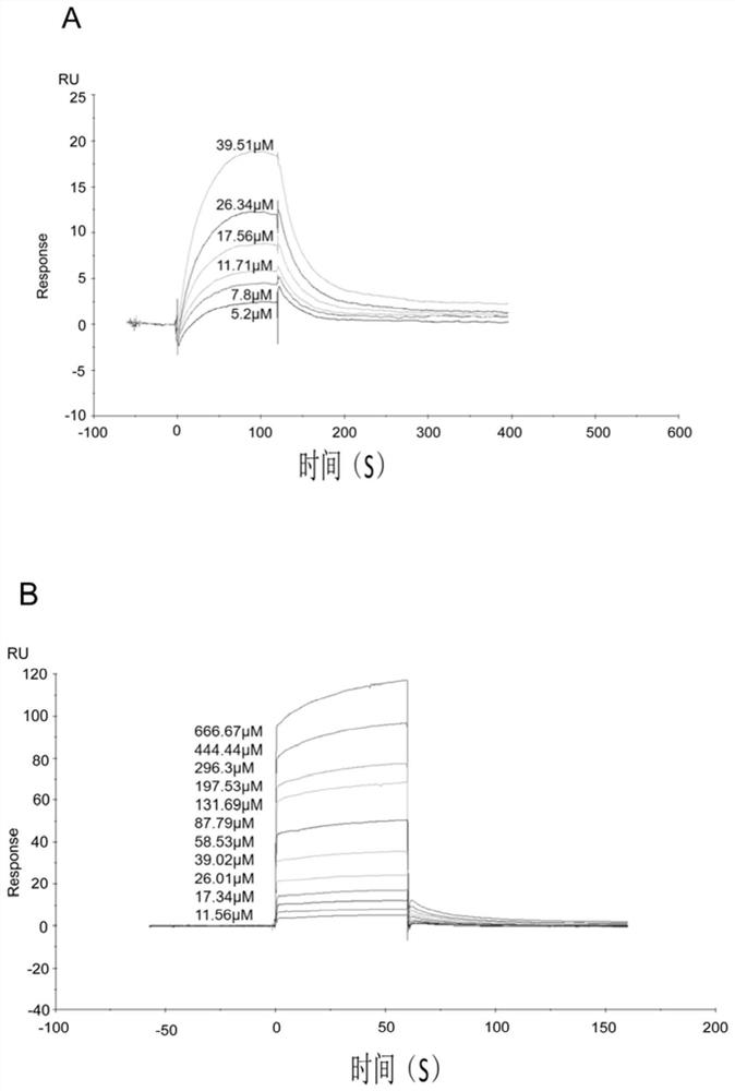 Inhibition effect of nobiletin as BH3 mimetic drug on small cell lung cancer and synergistic effect of nobiletin and histone deacetylase inhibitor