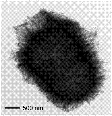 Preparation method and applications of urchin-shaped Ni-Zn metal organic skeleton hollow sphere nano material