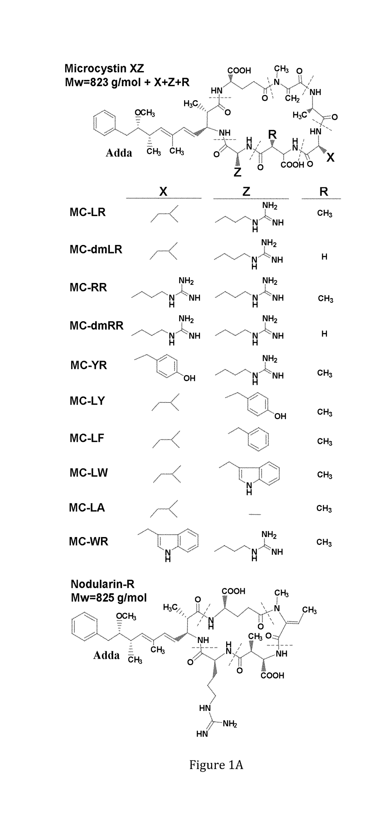 Antibodies against immunocomplexes comprising cyanobacterial cyclic peptide hepatotoxins
