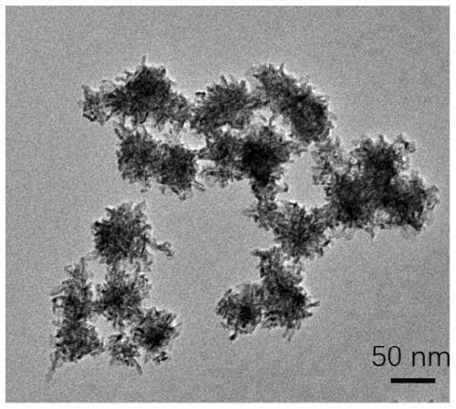 Preparation method of three-dimensional porous Rh-Ir alloy dendritic crystal nanoflower as well as material obtained by preparation method and application of three-dimensional porous Rh-Ir alloy dendritic crystal nanoflower
