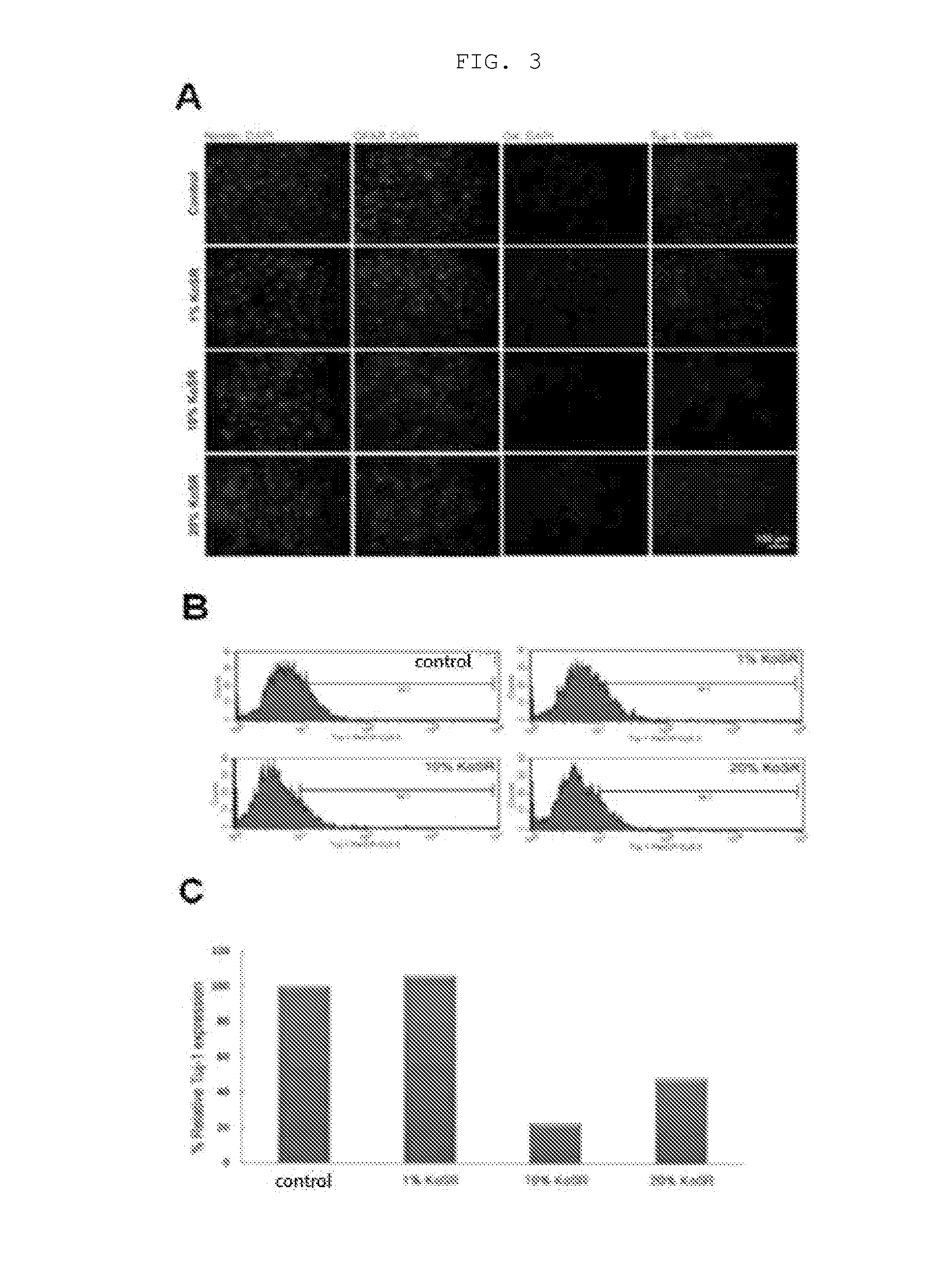 Stem cell culture medium and method for culturing stem cells using same