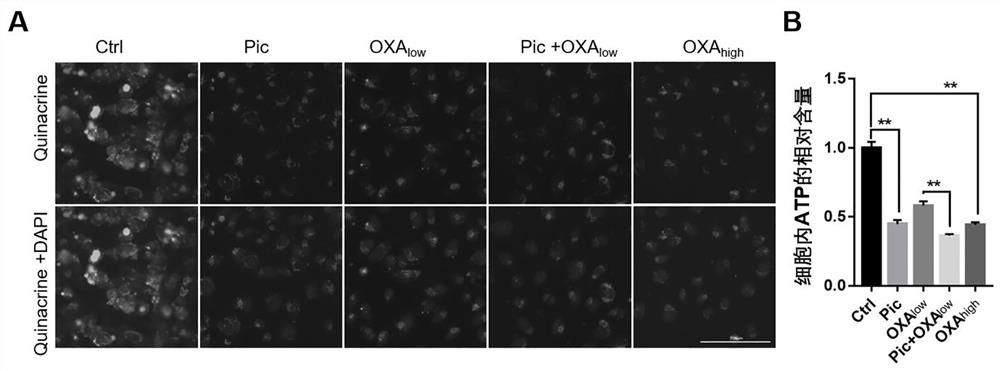 Application of small molecule compound in preparation of medicine for inducing immunogenic cell death