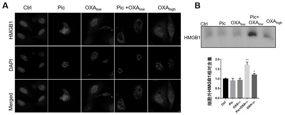 Application of small molecule compound in preparation of medicine for inducing immunogenic cell death