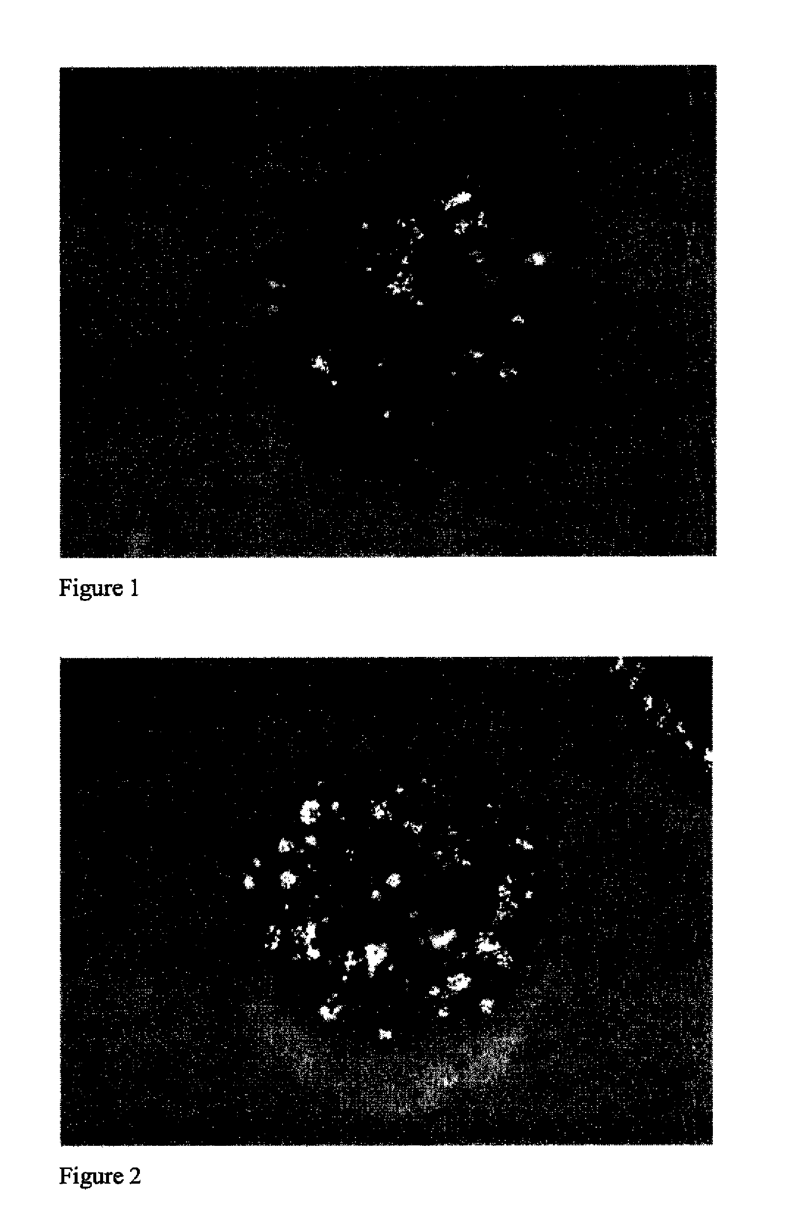 Toner containing metallic flakes and method of forming metallic image