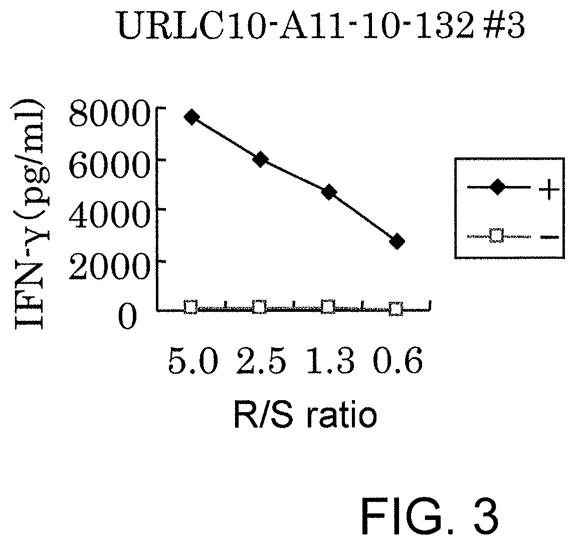 URLC10-derived peptide and vaccine containing same