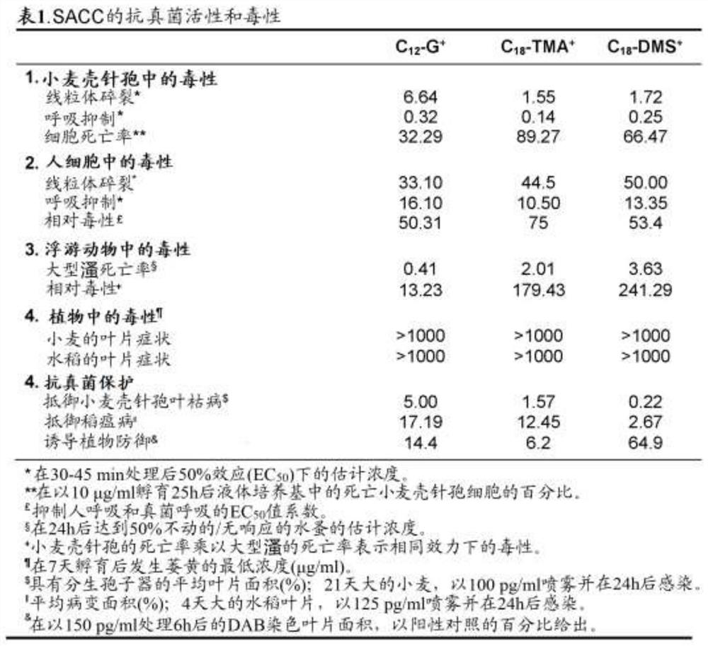 Antifungal compositions