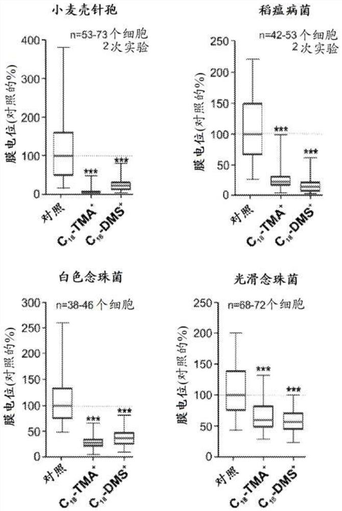 Antifungal compositions