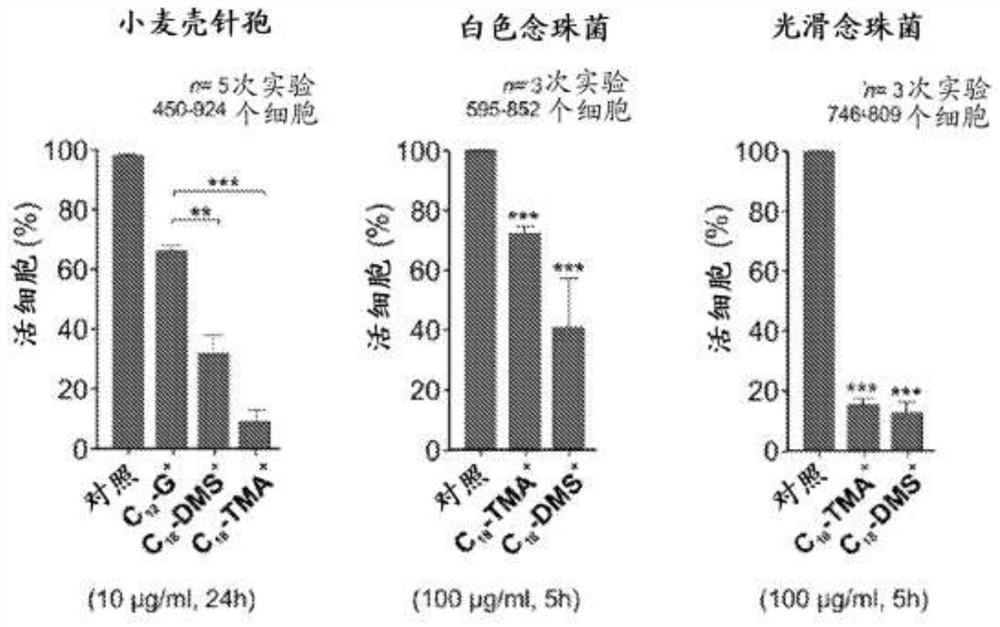 Antifungal compositions