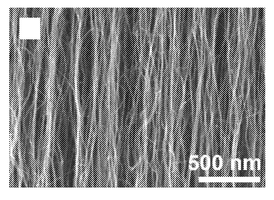 Aligned carbon nanotubes for dry adhesives and methods for  producing same