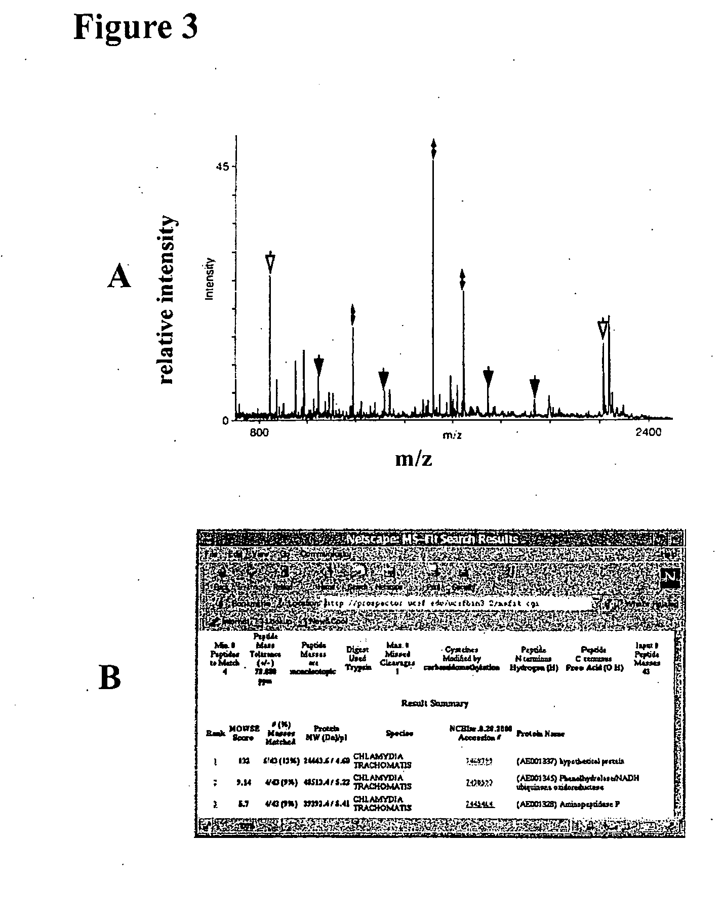 Method for identification of proteins from intracellular bacteria