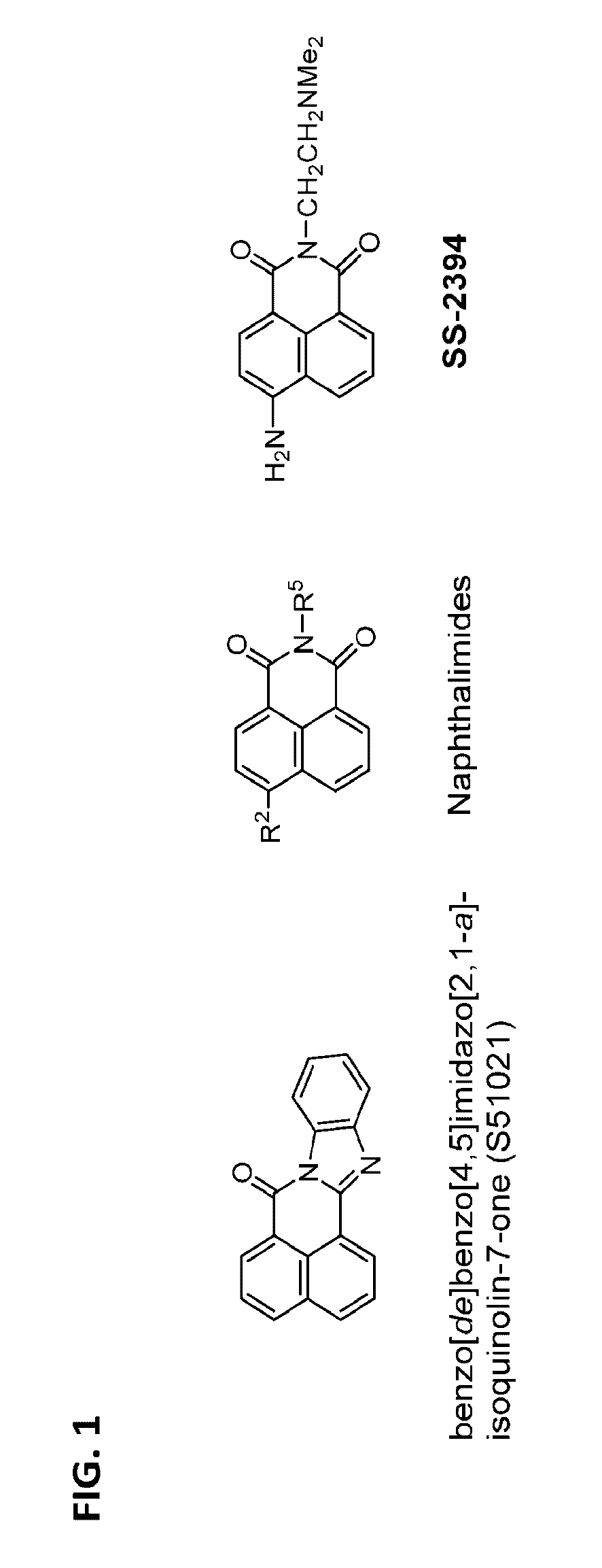 Methods and compositions for treating β-thalassemia and sickle cell disease